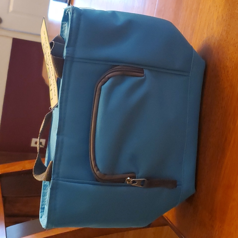 Lifoam mini lunch tote